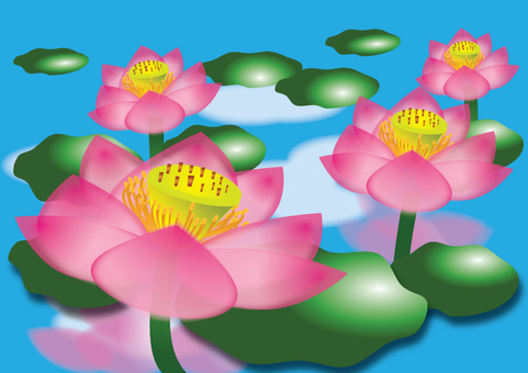 蓮花在表面上, JPG 蓮花在表面上, 海報, 傳單, 壁紙, JPG