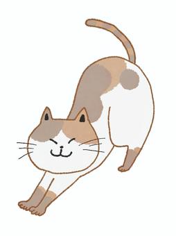 猫 猫,動物,ゆるカワ,ほのぼの,保育素材,絵本風イラストのイラスト素材