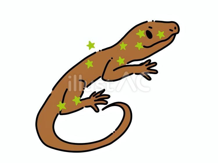 とかげ座(茶色) とかげ座,星座,ゆるいのイラスト素材