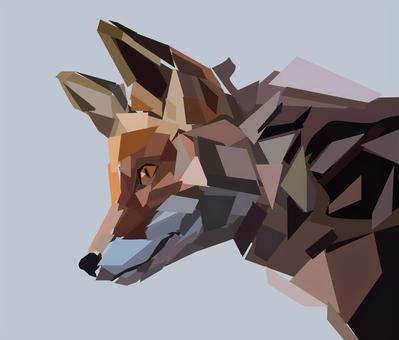 狐狸 狐狸