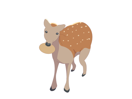 ニホンジカ(鹿せんべい・主線なし) ニホンジカ(鹿せんべい・主線なし) ニホンジカ,鹿,動物,奈良,鹿せんべい,主線なしのイラスト素材