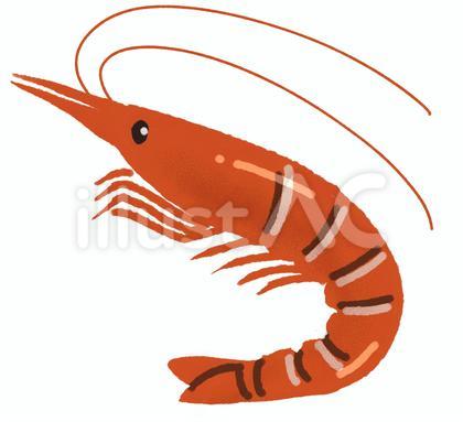 エビ