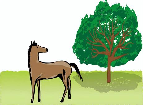 馬自然  馬自然  馬,野生,動物,振り向く,樹木,芝生,自然,風景,横向き,筆絵のイラスト素材