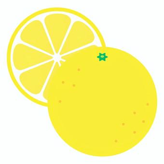 グレープフルーツ_断面_後ろ グレープフルーツ,断面,果物,酸っぱい,アイコン,シンプル,かわいい,背景透過,透過,イラストのイラスト素材