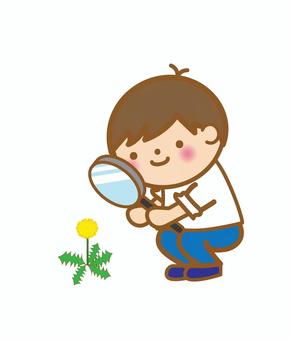 たんぽぽの観察をする男の子 たんぽぽ,植物,観察,虫眼鏡,見る,じっくり,見つめる,花,雑草,道端のイラスト素材