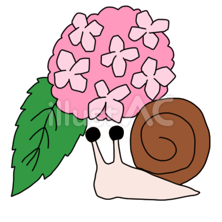 アジサイとかたつむり 蝸牛,あじさい,お花のイラスト素材