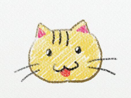 cat, cat, animal, face, JPG and PNG