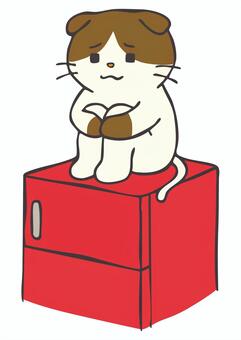 CA_C02_はんせいちゅう 猫,手描き,動物,日常風景,かわいい,反省のイラスト素材