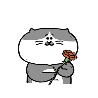 Carnation and cat (gray), , JPG and PNG