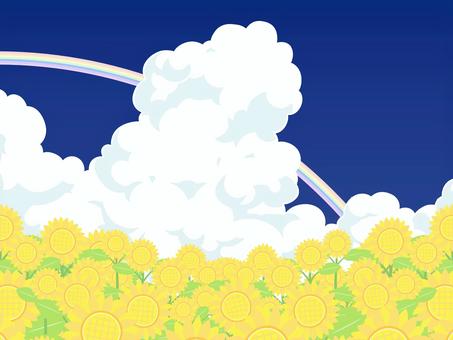 ひまわりと空1 ひまわり,花,空,雲,夏,花畑,青空,快晴,入道雲,背景のイラスト素材