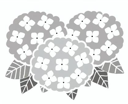 あじさい あじさい,花,アジサイ,植物,かわいい,ポップ,紫陽花,グレースケールのイラスト素材