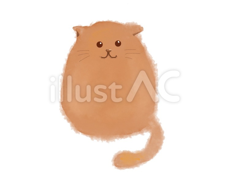 猫 猫,茶色,動物のイラスト素材