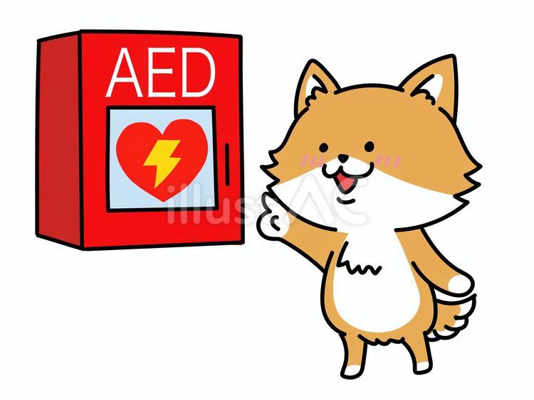 AEDはコチラです　柴犬版 柴犬,aed,医療機関のイラスト素材