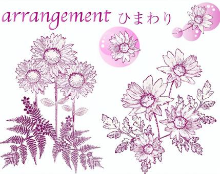Illustration, sunflower, flour, arrangement, 