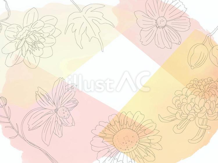 やさしげな背景24＿秋「秋桜・キク」 花,背景,壁紙のイラスト素材
