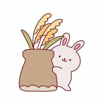 うさぎとススキ ススキ,お月見,十五夜,うさぎ,動物,秋,線画,可愛い,ゆるい,手描きのイラスト素材