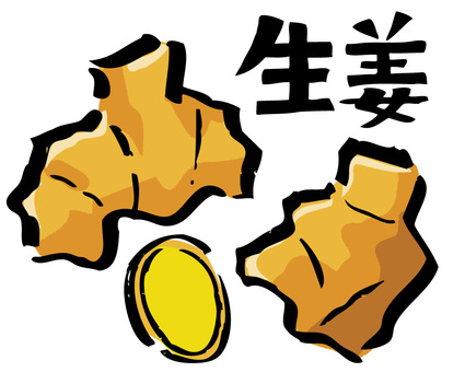 生姜_筆イラスト色付き 生姜,筆,手書き,根,和風,文字,筆文字,墨絵,シンプル,野菜のイラスト素材