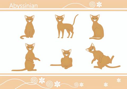 猫 アビシニアン 猫,アビシニアン,かわいい,もふもふ,仰向けのイラスト素材