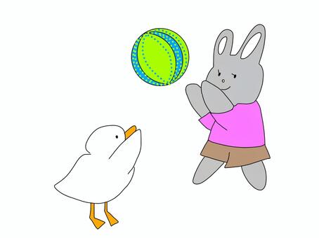 ビーズボールで遊ぶうさぎと鳥 うさぎ鳥,ビーチボール,遊ぶ,遊び,かわいい,ほのぼの,イラスト,子供向け,幼稚園,保育園のイラスト素材