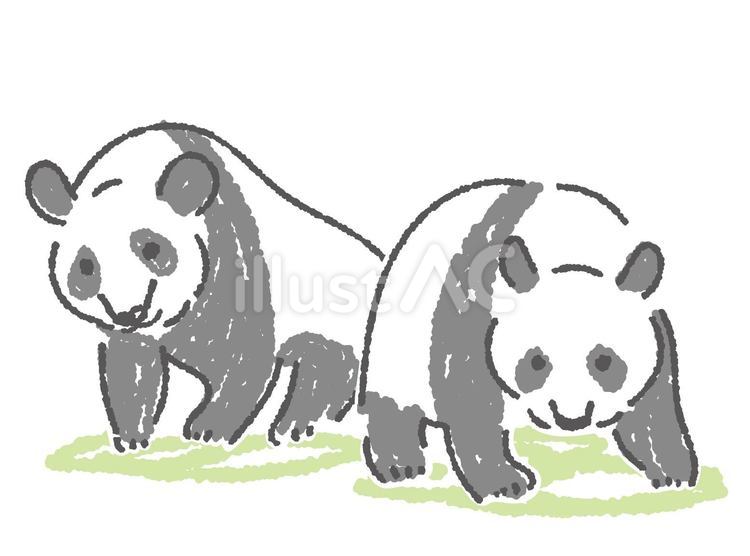 Free Vectors | two pandas