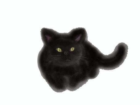 黒猫のクロ 猫,黒,カワイイ,手描き,動物のイラスト素材