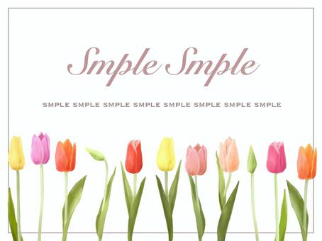 Illustration, tulip, spring, may, JPG, PNG and AI