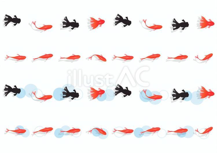 かわいい金魚の罫線 金魚,罫線,セットのイラスト素材