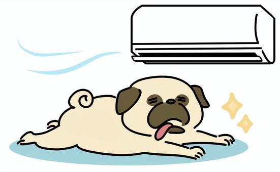 エアコンで涼む寝そべったパグ犬 エアコン,冷房,空調,パグ,犬,短頭種,ペット,夏,暑さ対策,涼しいのイラスト素材