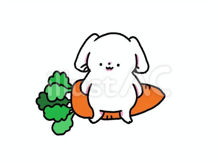 人参とうさぎさん ウサギ,動物,齧歯類のイラスト素材