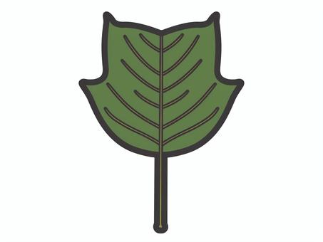 ユリノキの葉01