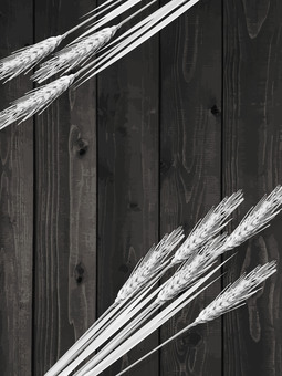 白黒の麦穂と板の背景3　mugi009 麦穂,白黒,リアル,ナチュラル,お洒落,自然,植物,大人っぽい,枠,背景のイラスト素材