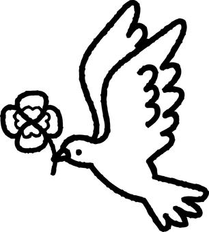 四つ葉のクローバーをくわえた鳩モノクロ 鳩,鳥,白,平和,クローバー,四葉,幸運,幸せ,象徴,生き物のイラスト素材