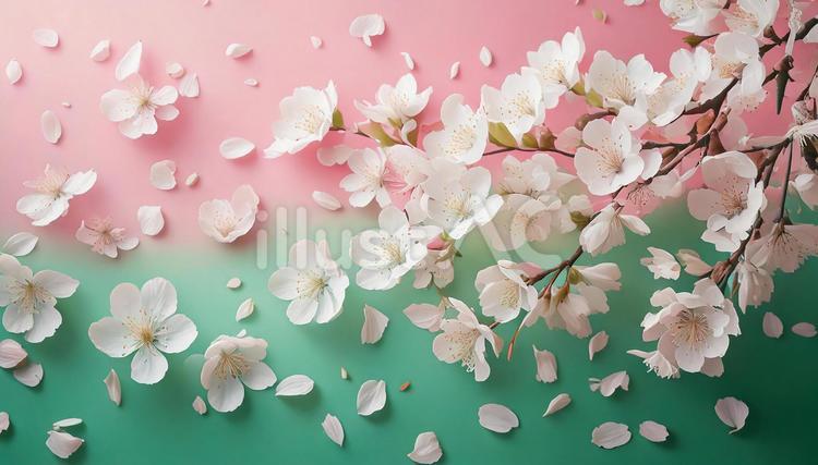 桜の背景 桜,背景,桜吹雪のイラスト素材