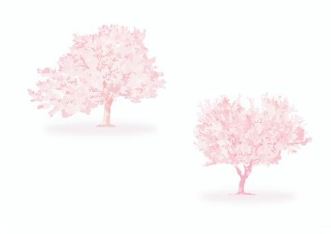 満開の桜の描写_30_手描き風の木セット 一本桜,春,ソメイヨシノ,花びら,樹木,添景,水彩風,挿絵,絵本風,華やかのイラスト素材