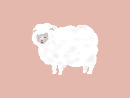 Illustration, a sheep, fluffy, animal, 