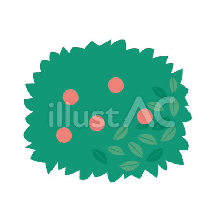 植物 植物,葉,赤い実のイラスト素材