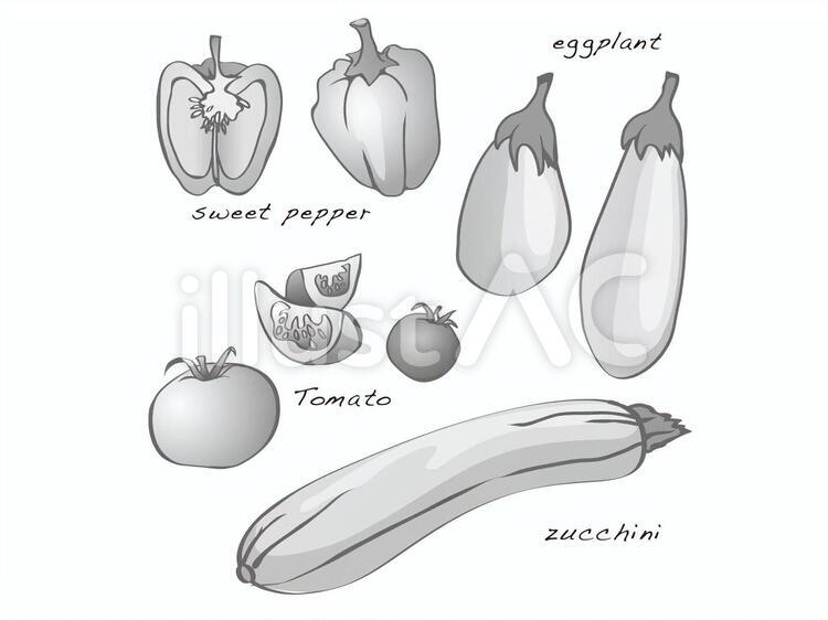 ナス科の野菜 野菜,ナス,ピーマンのイラスト素材