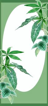 観葉植物のスマホ壁紙 観葉植物,植物,葉,グリーン,クール,涼しい,高級感,自然,壁紙,背景のイラスト素材