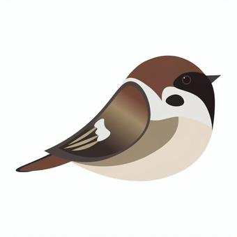 すずめ　横向き すずめ,鳥,かわいい,素材,パーツ,アイコン,小鳥,ふくら雀,sparrowのイラスト素材