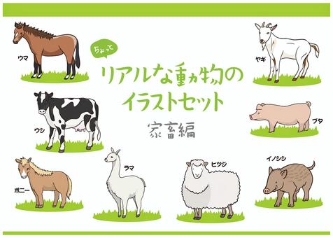 Illustration, JPG, PNG and AI Illustration, , JPG, PNG and AI