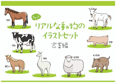 Illustration, animal, livestock, horse, JPG, PNG and AI