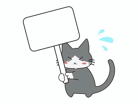 看板を持った困っている猫 猫,看板,ハチワレ,動物,かわいい,お知らせ,困る,案内,イラストのイラスト素材