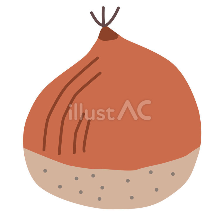 秋の素材01＿果物（クリ） 秋,栗,果実のイラスト素材