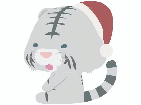サンタ帽をかぶった笑顔の白いトラ サンタ帽をかぶった笑顔の白いトラ 座る,サンタクロース,帽子,虎,ホワイトタイガー,笑顔,動物,かわいい,クリスマスのイラスト素材
