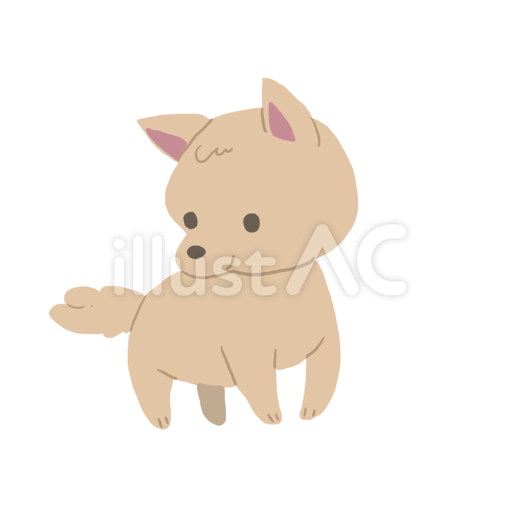 犬 犬,いぬ,かわいいのイラスト素材