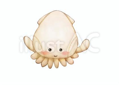 イカ ぬいぐるみイラスト