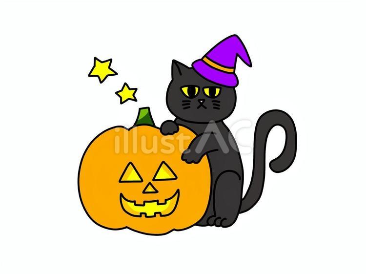 魔女の帽子をかぶった黒猫とかぼちゃ ハロウィン,かぼちゃ,ジャックオーランタンのイラスト素材