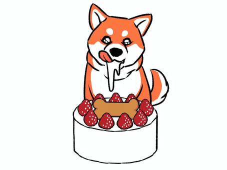 ペットケーキ(犬用) ケーキ,ホールケーキ,犬のイラスト素材