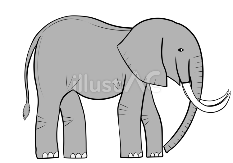 ゾウ ゾウ,象,動物のイラスト素材