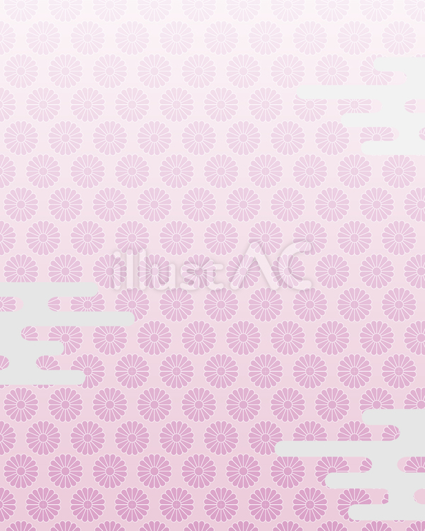 インスタ用背景　和柄　菊紋様 ピンク 背景,和柄,菊紋様のイラスト素材